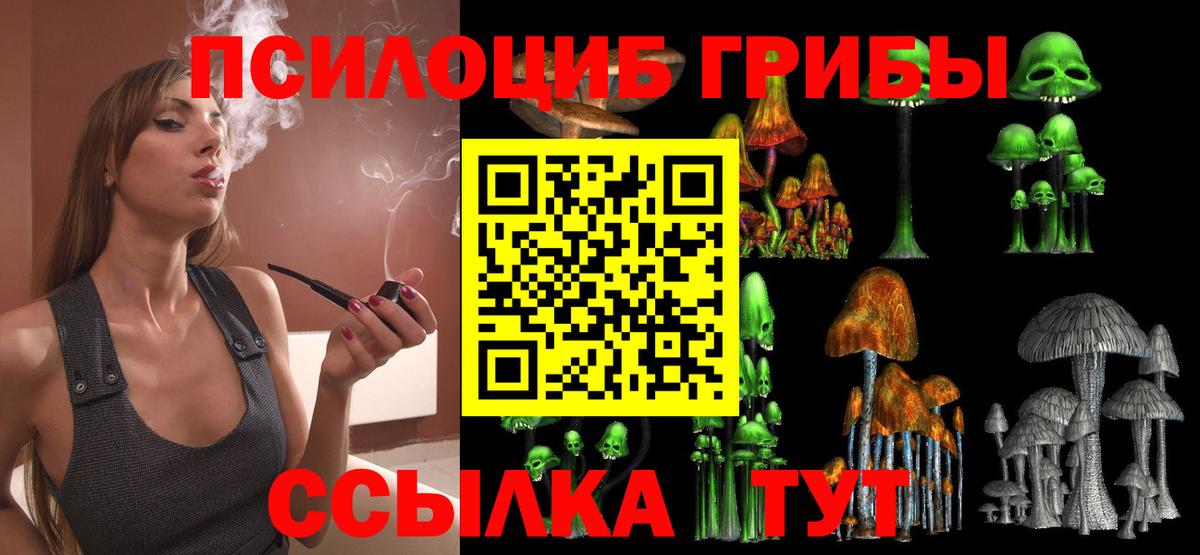 Галлюциногенные грибы Psilocybine cubensis  Галлюциногенные грибы мицелий  Вход с VPN  Миллерово 